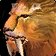 Predatory Strikes icon